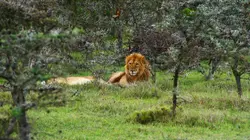 Les héros de la vie sauvage S01E10 Alerte océans