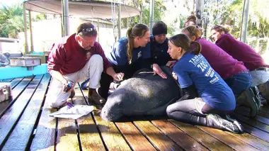 Territoires désertiques