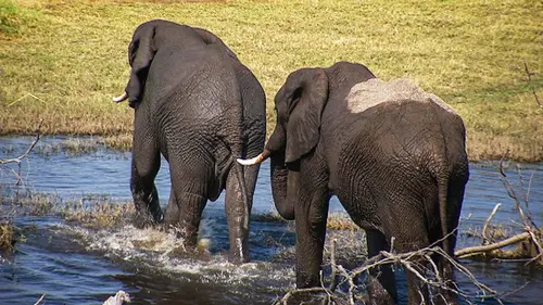 Les héros de la vie sauvage S01E07 Mission en eaux douces