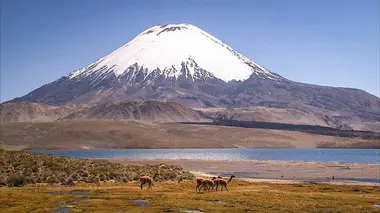 Les héros de la vie sauvage S01E04 Au coeur des montagnes