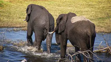 Les héros de la vie sauvage S01E08 Alerte littoral