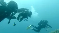 Les héros du patrimoine  Ils veulent sauver l'océan