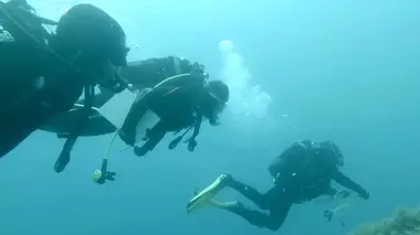 Ils veulent sauver l'océan