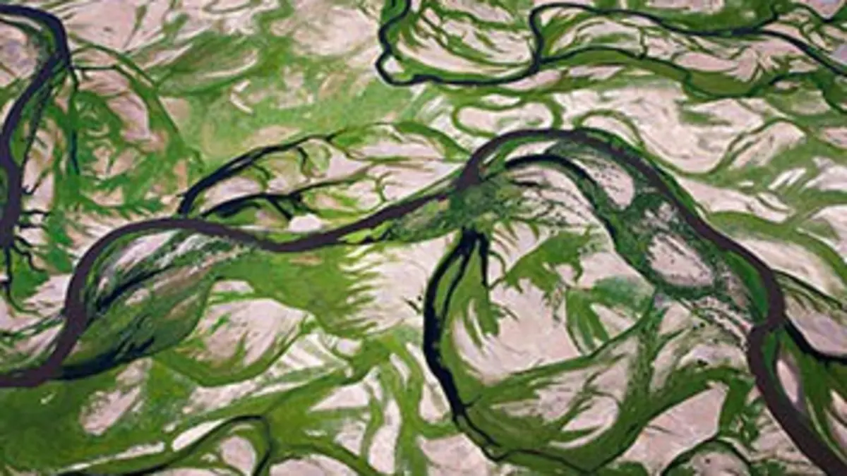 Les histoires de HUMAN