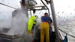 Visuel de Les hommes de la mer