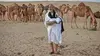 2019 • Les hommes du désert : Dans les pas des chameliers du Sahara