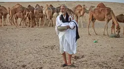 Visuel de Les hommes du désert : Dans les pas des chameliers du Sahara