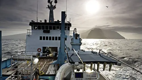 Les hommes-requins Quelle chance !