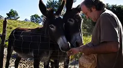 Visuel de Les îles Baléares