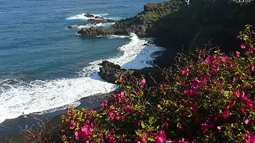 Les îles Canaries Ténérife, Hierro et La Palma