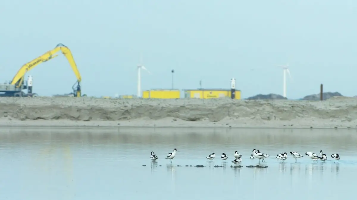 Les îles de la dernière chance : Une action de sauvetage aux Pays-Bas