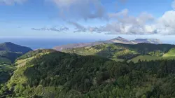 Les îles de Napoléon