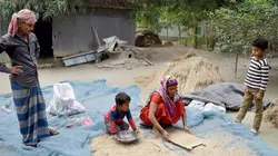 Les îles éphémères du Bangladesh : les paysans des terres "chars"