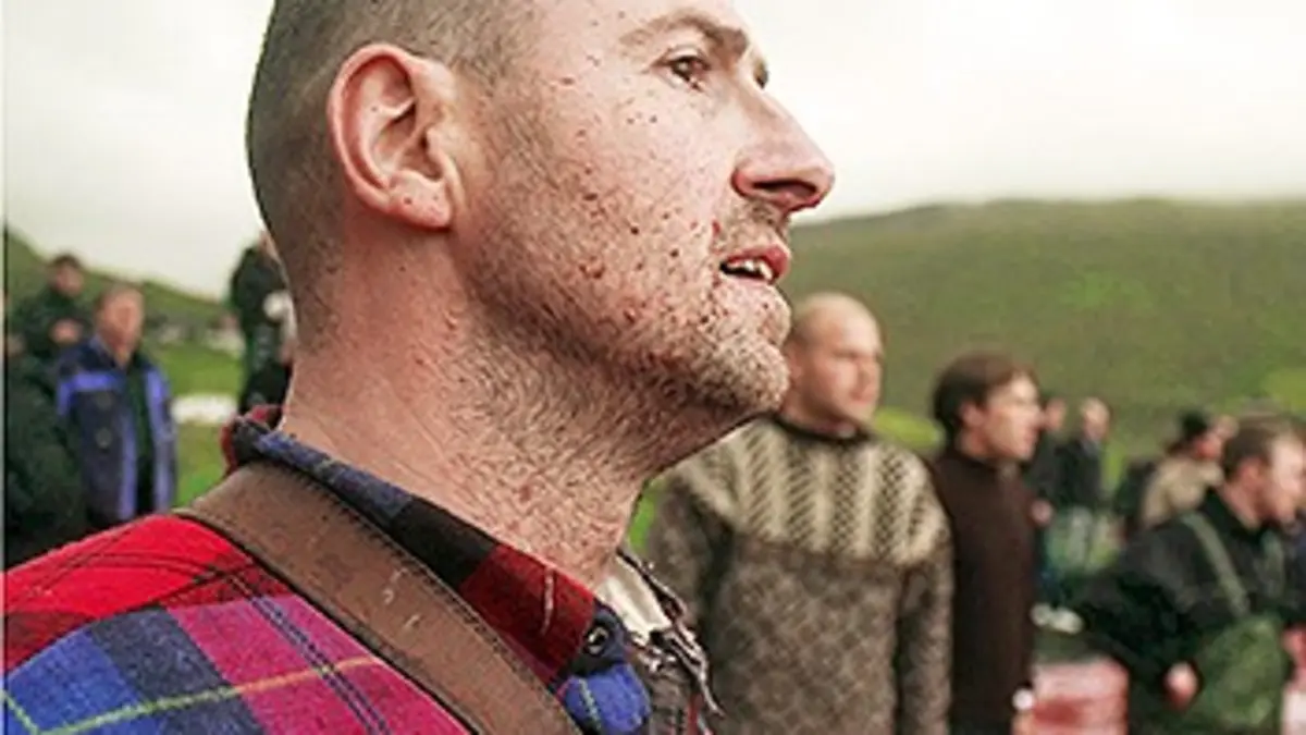 Les îles Féroé et les baleines