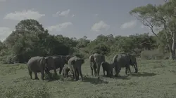Les îles, laboratoires de la nature
