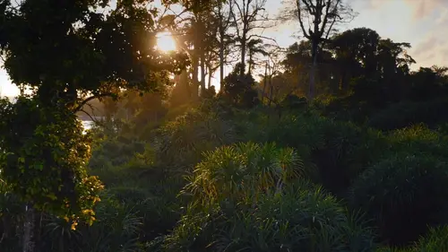 Les îles Nicobar, renaissance d'un archipel