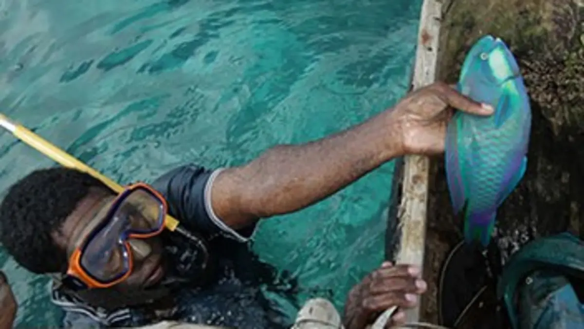 Les îles Sentinelles