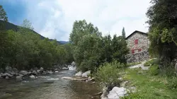 Les immigrants de l'utopie : l'Ariège