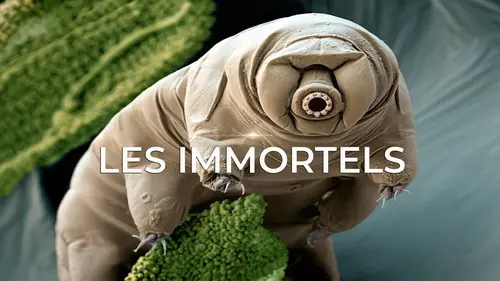Les Immortels
