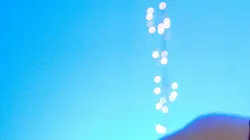 Les incroyables talents de Noël