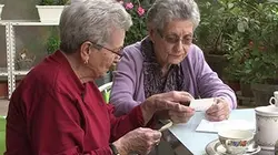 Visuel de Les indésirables