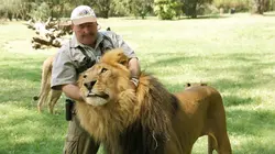 Les indestructibles Dans la cage aux lions