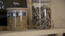 Les insectes font recette