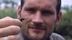 Les insectes infernaux