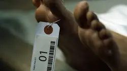 Les invisibles S01E02 Sycomore