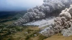 Visuel de Les irréductibles de Montserrat