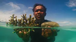 Les Jardiniers de Corail de Raja Ampat