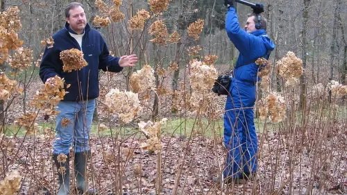 Les jardins de rêve de Luc Noël Jardin de Mien Ruys