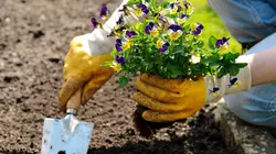 Les jardins de rêve de Luc Noël