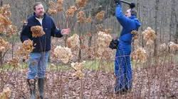Les jardins de rêve de Luc Noël
