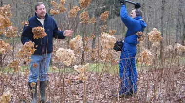 Anthony, un jeune jardinier accompli