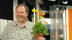 Les jardins de rêve de Luc Noël