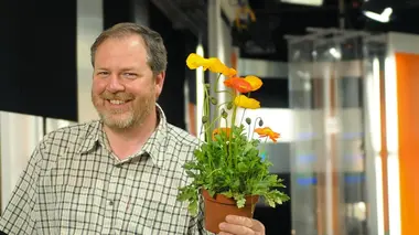 En Normandie, le jardin de la Mansonière