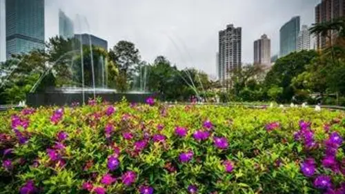 Les jardins suspendus de Hong Kong Une bouffée de verdure