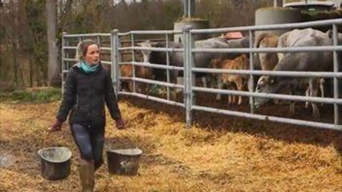 Les jeunes agriculteurs font leur révolution
