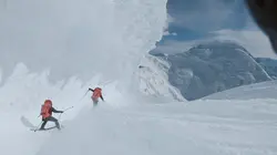Visuel de Les jours sauvages