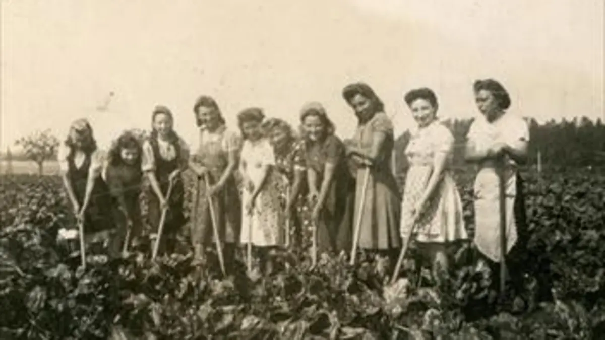 Les juifs de la zone interdite