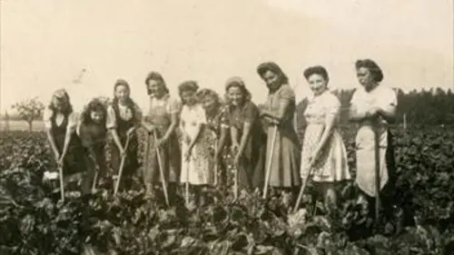 Les juifs de la zone interdite