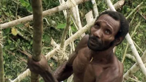 Les Korowai, peuple des arbres