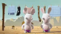 Les Lapins crétins : l'invasion  S01E73 Route crétine