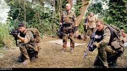 Les larmes du soleil