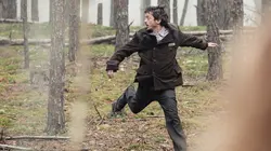 Visuel de Les leçons persanes