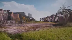 Les légendes de la Bible avec Albert Lin