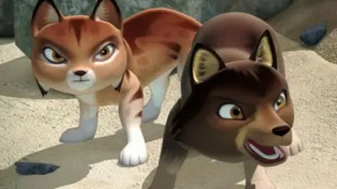 Soleil noir. - L'ouïe chez les loups