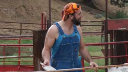 Les liens secrets du mariage  Comme si de rien n'était