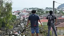 Visuel de Les lointains suicidés de la République